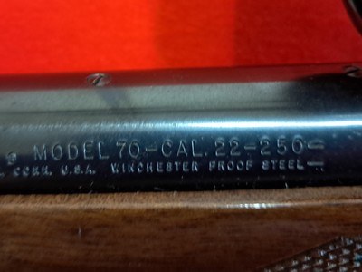 Winchester Model 70 in 22-250 with scope - Image 4 of 15