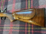 safari grade 270 win - 6 of 15