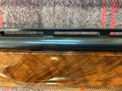 remington 1100 factory trap - Image 13 of 15