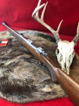 Ruger M77 Hawkeye .223 International Stock - 2 of 6