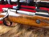 BRowning Belgium Rifle in 264 Win Mag - 11 of 17