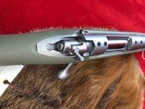NIB Kimber Montana 84M 6.5 Creedmoor - 14 of 14
