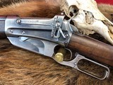 Winchester Model 1895 35WCF - 20 of 20