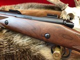 Winchester &0 Safari 488 Winchester Magnum - 14 of 15
