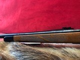 Remington 700 300 Win Mag - 12 of 12