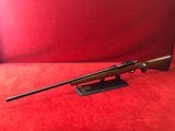 RUGER 77/17 in 17hmr - 2 of 7