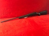 Tikka T3 300 WSM - 6 of 18