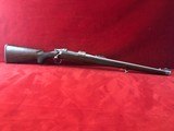 NIB Ruger M77 Hawkeye 22-250 - 1 of 9