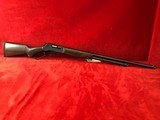 Henry .410 24