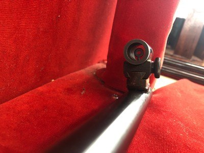 Winchester Model 75 22LR - Image 3 of 24