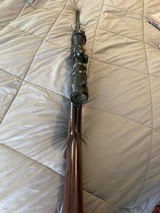 Browning BLR - 8 of 11