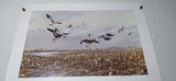 James Killen Signed Artist Proof, "Geese Of Squaw Creek" 96/100 - 1 of 15