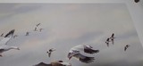 James Killen Signed Artist Proof, "Geese Of Squaw Creek" 96/100 - 3 of 15