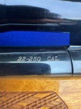 Sako Forester Deluxe A II L579 .22-250 Rem In Factory Matching Box Leupold VARI-X III 6.5x20 Gold Sunshade Varmint - 10 of 15