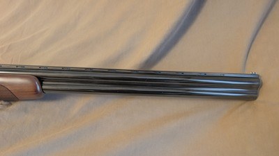 CZ Teal 12 ga. - Image 7 of 8