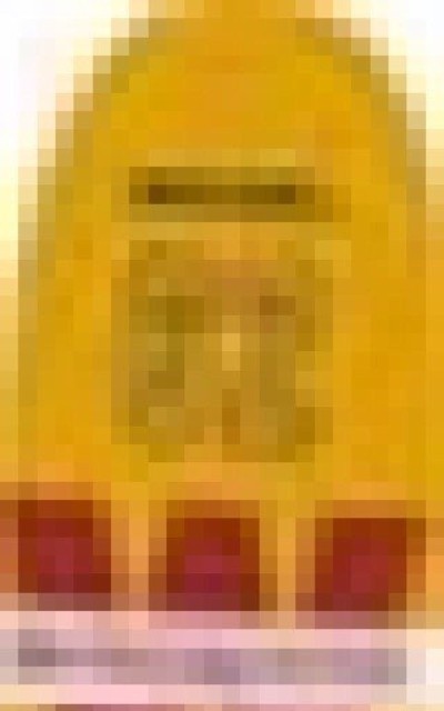 Model 62 Genuine Licensed Winchester Tag