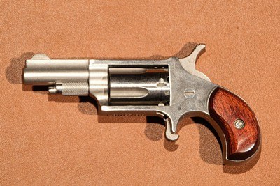 North American Arms - 22LR, .22 LR. 1 5/8