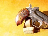 Bond Arms - Snake Slayer, Stainless Steel Finish, .45 Colt/.410. 3.5