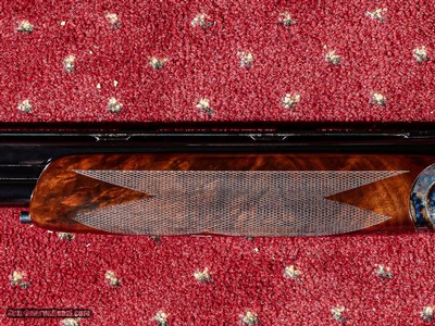 CSMC - Revelation, Case Colored, O/U, Two Barrel Set, 20ga/28ga. 28