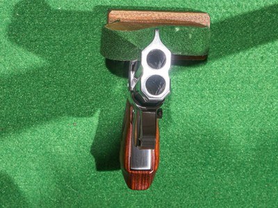 Bond Arms - Snake Slayer, Stainless Steel Finish, .45 Colt/.410. 3.5