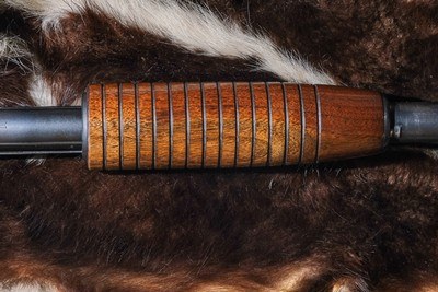 Winchester - Model 12, Heavy Duck, 12ga. 30