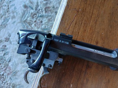 Steyr Model L 22-250 24