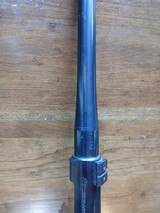 Steyr Model L 22-250 24
