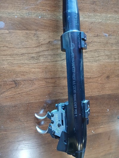 Steyr Model L 22-250 24
