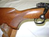 Winchester Pre 64 Mod 70 Varmiter 243
- 4 of 14