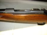 Winchester Pre 64 Mod 70 300 H&H Magnum Like New!! - 12 of 15