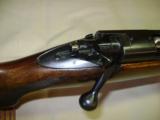 Winchester Pre 64 Mod 70 Varmiter 243 NICE! - 10 of 20