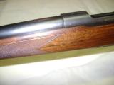 Winchester Pre 64 Mod 70 Varmiter 243 NICE! - 16 of 20