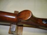 Winchester Pre 64 Mod 70 Std 257 Roberts - 11 of 18