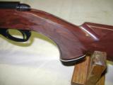 Remington Nylon 12 22 S,L,LR - 18 of 20