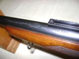 Winchester Pre 64 Mod 70 Varmiter 243 - 15 of 20