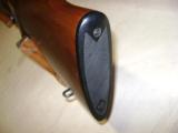 Winchester Pre 64 Mod 70 243 Varmiter - 21 of 21