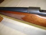 Winchester Pre 64 Mod 70 243 Varmiter - 17 of 21