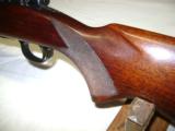 Winchester Pre 64 Mod 70 Std 250-3000 - 19 of 21