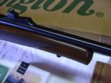 Remington Mod Seven 223 NIB - 6 of 20