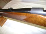 Winchester Pre 64 Mod 70 Standard 243 - 16 of 20