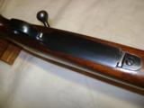 Winchester Pre 64 Mod 70 Std 243 Metal Butt! - 11 of 20