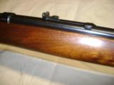 Winchester Mod 43 22 Hornet - 5 of 21