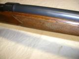 Winchester Pre 64 Mod 70 Varmiter 243 - 4 of 20