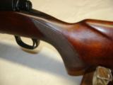 Winchester Pre 64 Mod 70 Std 257 Roberts - 19 of 21