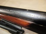 Winchester Pre 64 Mod 70 Varmint 243 - 17 of 23
