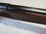 Winchester Pre 64 Mod 70 Varmint 243 - 5 of 23