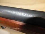 Winchester Pre 64 Mod 70 Varmint 243 Nice! - 18 of 24