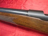 Winchester Pre 64 Mod 70 Varmint 243 - 16 of 21