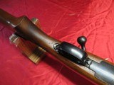 Winchester Pre 64 Mod 70 243 Varmint - 13 of 22