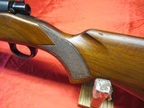 Winchester Pre 64 Mod 70 243 Varmint - 20 of 22